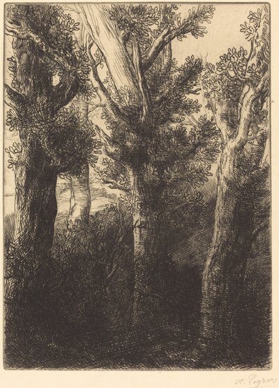 Német Erdő, Downley. alkotó: Alphonse Legros