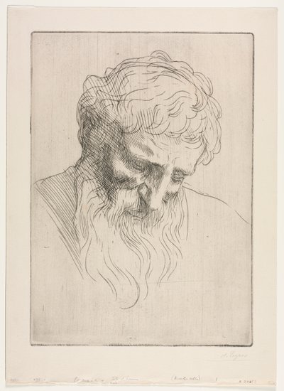 Egy ember feje. alkotó: Alphonse Legros