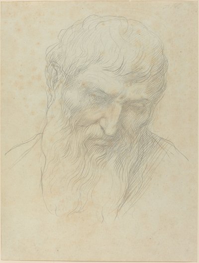 Egy göndör hajú és szakállú férfi feje alkotó: Alphonse Legros
