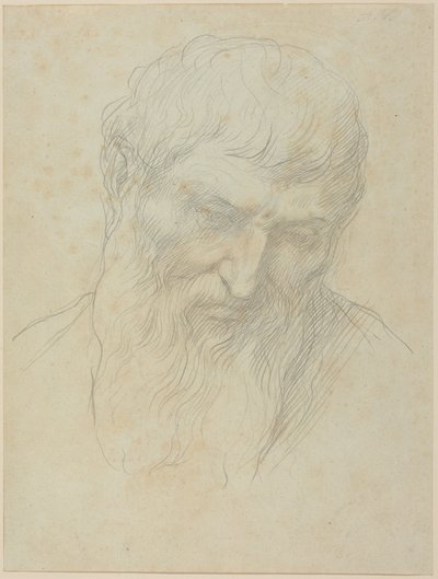Göndör hajú és szakállas férfi feje alkotó: Alphonse Legros