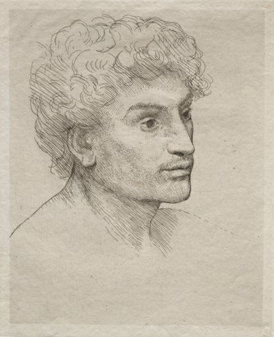 Egy fiatalember feje alkotó: Alphonse Legros
