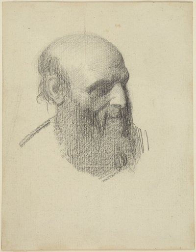 Egy szakállas férfi feje alkotó: Alphonse Legros