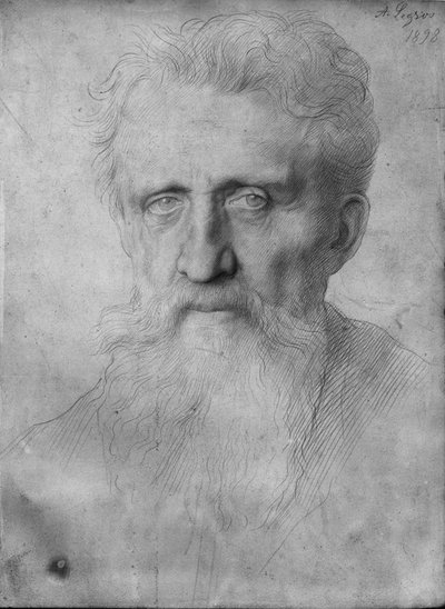 Hosszú szakállú férfi feje, 1898 (ezüstpont fehér kartonon) alkotó: Alphonse Legros