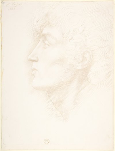 Egy ír lány feje alkotó: Alphonse Legros