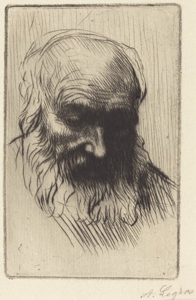 Egy öregember feje (Etude de tete) alkotó: Alphonse Legros