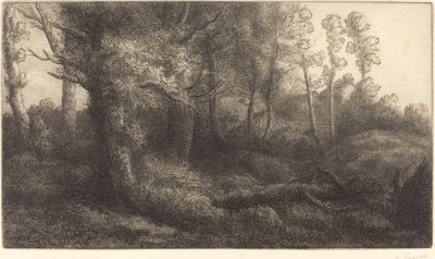 Az erdőben (Lisiere de foret) alkotó: Alphonse Legros