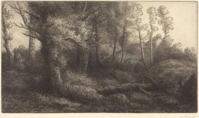 Az erdő szélén (Lisière de forêt) alkotó: Alphonse Legros