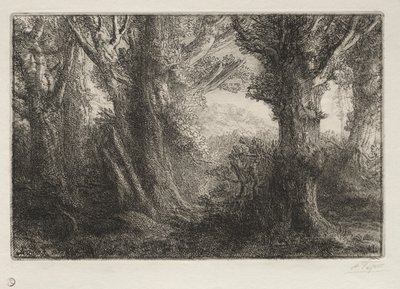 A Conteville-i erdőben. alkotó: Alphonse Legros