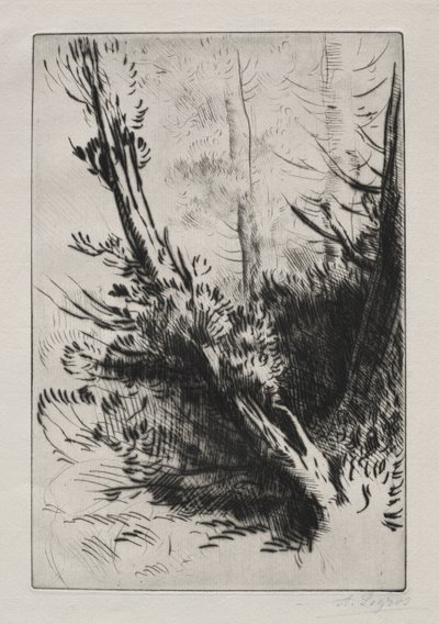 Az erdőben. alkotó: Alphonse Legros