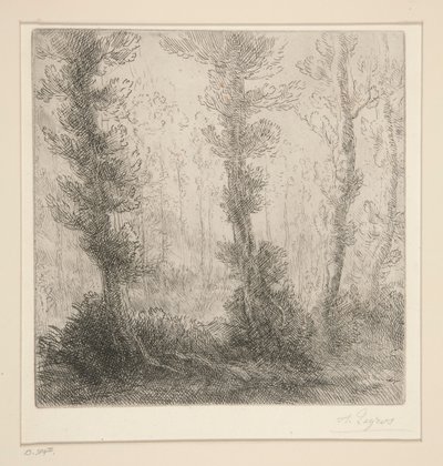 A Kis-tó alkotó: Alphonse Legros