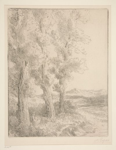 Olvasó nő: lecke a fák alatt alkotó: Alphonse Legros