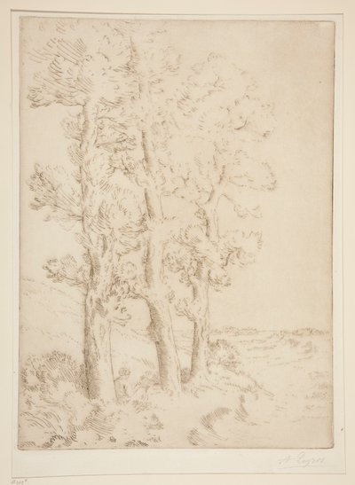 Olvasó nő: lecke a fák alatt alkotó: Alphonse Legros