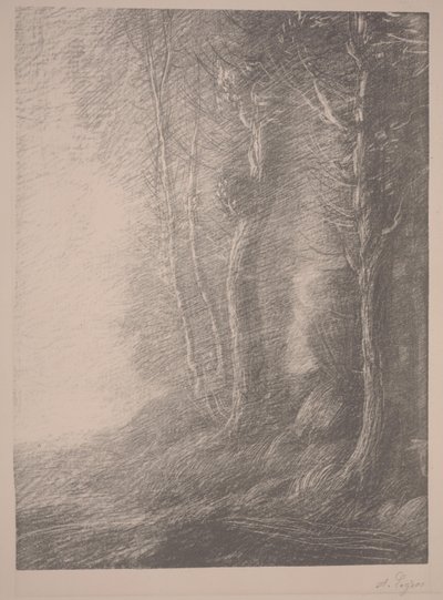 Táj (litho) alkotó: Alphonse Legros