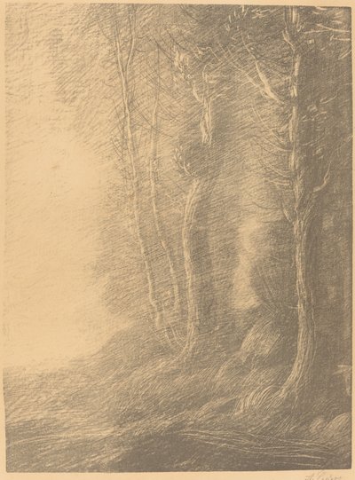 Táj Táj. alkotó: Alphonse Legros