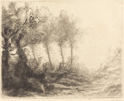 Táj Táj. alkotó: Alphonse Legros