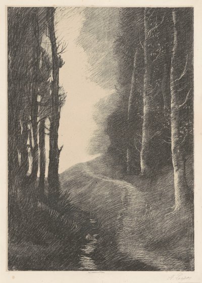 Tájkép nyírfákkal (Le Paysage aux Bouleaux) alkotó: Alphonse Legros