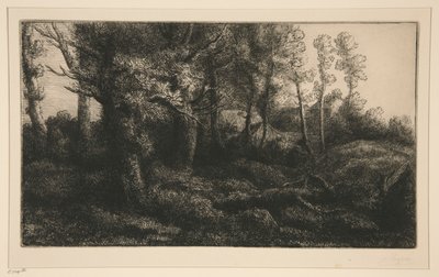 Lisiere de Foret (Az erdő széle) alkotó: Alphonse Legros