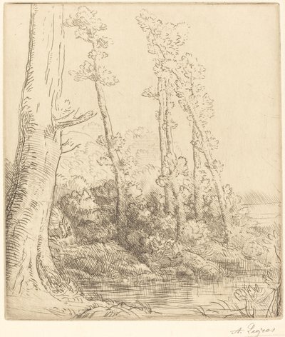 Kis Pond La petite mare. alkotó: Alphonse Legros