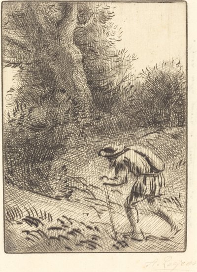 Kis vándorzsidó alkotó: Alphonse Legros