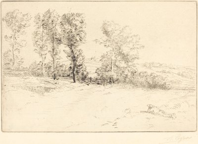 Meadow in Sunshine (Le pre ensoleille) alkotó: Alphonse Legros