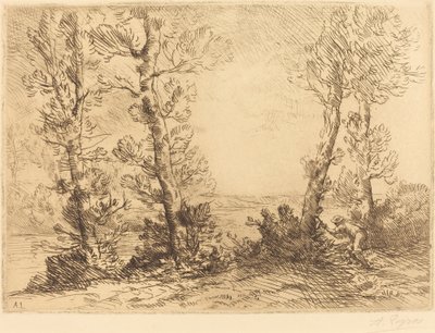 Lazachalász A lazachalász. alkotó: Alphonse Legros