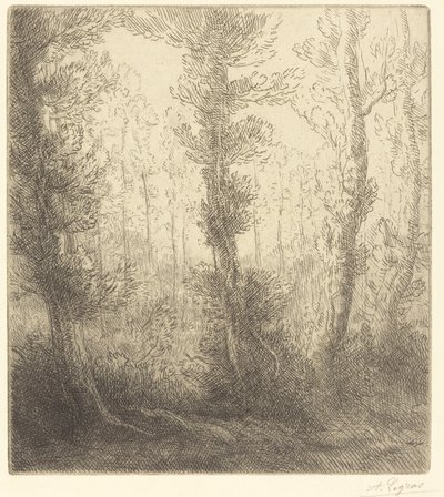 Kis tó A kis tó. alkotó: Alphonse Legros
