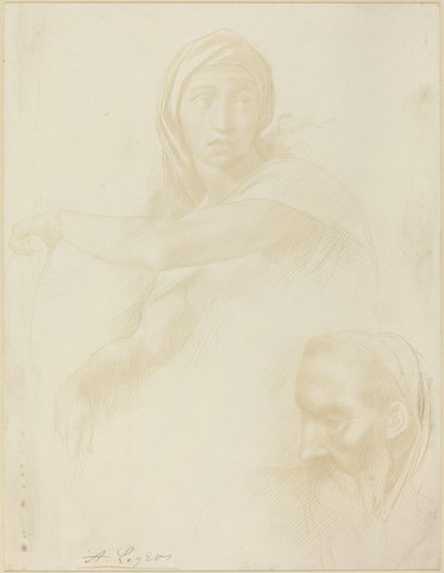 Tanulmány Delphic Sibylről, egy ember fejéről. alkotó: Alphonse Legros