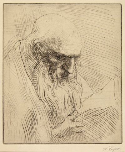 Olvasó öregember tanulmánya alkotó: Alphonse Legros