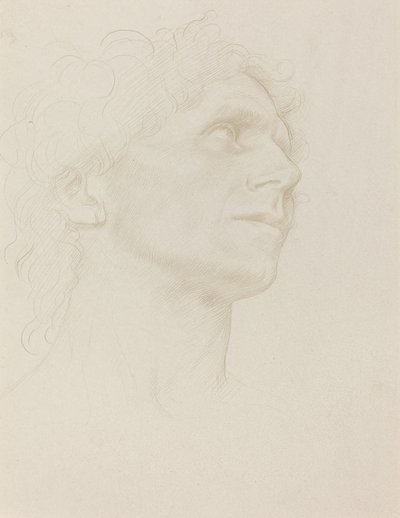 Tanulmány a női fejről, jobbra fordulva alkotó: Alphonse Legros