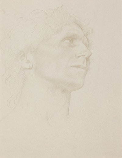 Egy nő fejének tanulmánya, jobbra fordulva alkotó: Alphonse Legros
