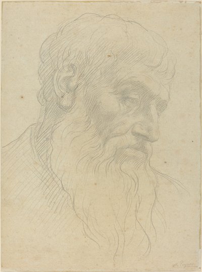 Egy fej tanulmányozása. alkotó: Alphonse Legros