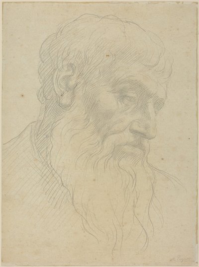 Egy fej tanulmányozása alkotó: Alphonse Legros