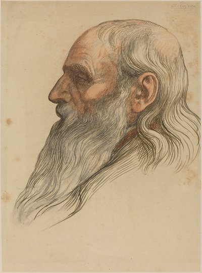 Tanulmány a teljes szakállú férfifejről. alkotó: Alphonse Legros