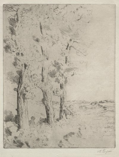 Az olvasó: Az előadás a fák alatt c. 1882. alkotó: Alphonse Legros