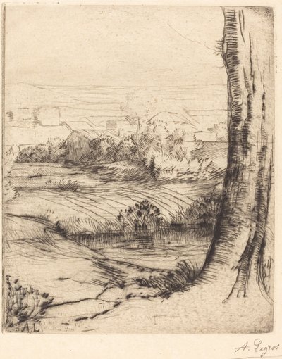 Kilátás a nádra (Coin de roseau) alkotó: Alphonse Legros