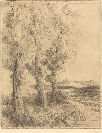 Olvasó nő: lecke a fák alatt La liseuse: Olvasás a fák alatt. alkotó: Alphonse Legros