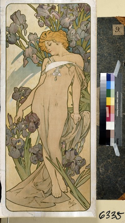Írisz (a virágsorozat része). Alfons Maria Mucha alkotása (Alphonse Marie Mucha alkotó: Alphonse Marie Mucha