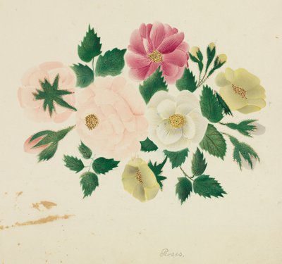 Júniusi rózsák (akvarell) alkotó: Altha Mary Nims