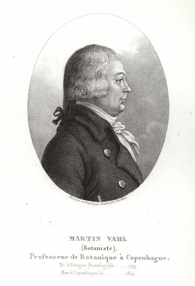 Vahl Márton alkotó: Ambroise Tardieu