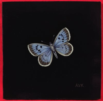 Nagy kék pillangó, 2000 alkotó: Amelia Kleiser