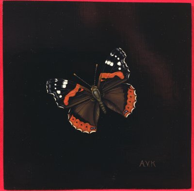 Vörös admirális pillangó, 2001 alkotó: Amelia Kleiser