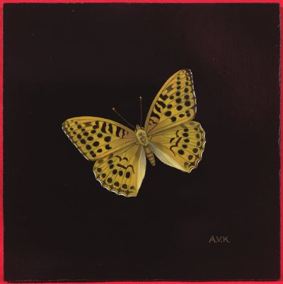 Ezüstre mosott fritriller pillangó, 2000 alkotó: Amelia Kleiser