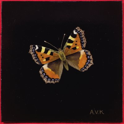 Kis teknőshéjú pillangó, 1998 alkotó: Amelia Kleiser