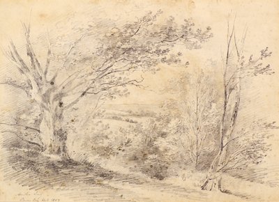 Bromley Hill alkotó: Amelia Long