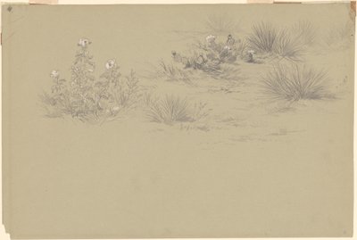 Virágzó bokor és sivatagi növények alkotó: American 19th Century after John Frederick Kensett