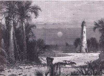 Kilátás Florida partjára, illusztráció a Cassells History of the Egyesült Államokból, kiadó: Cassell, Petter & Galpin, 1900 körül (litho) alkotó: American English school