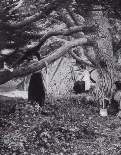 Japán lányok az öreg fenyőfák között, az ősi császári árok mellett Tokióban (f/w fotó) alkotó: American Photographer (after)