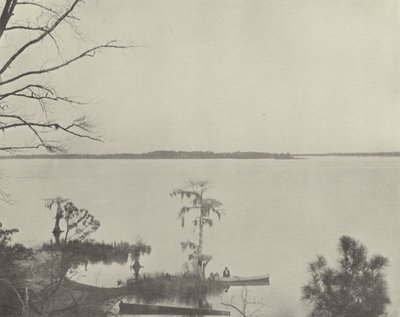 Pamlico River, Észak-Karolina (f/w fotó) alkotó: American Photographer (after)