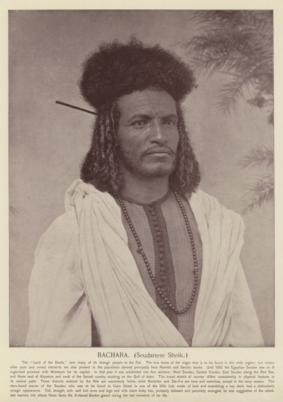 Bachara, szudáni sejk alkotó: American Photographer