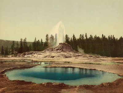 Castle Gejzír, Yellowstone Nemzeti Park, 1898 körül (photochrom) alkotó: American Photographer